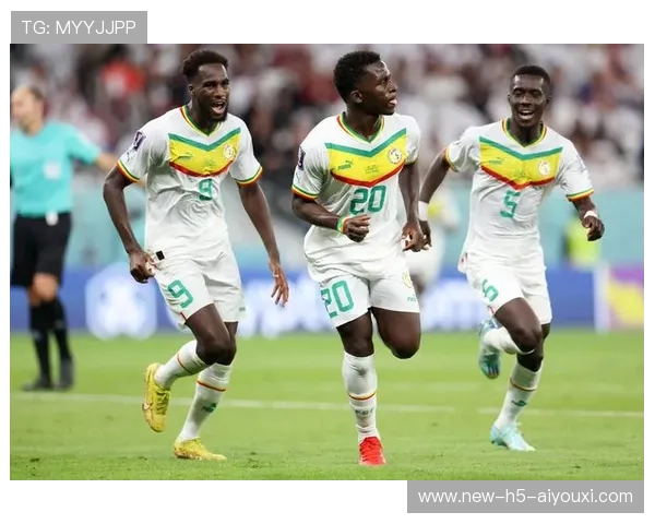 塞内加尔体育大会取得丰收，塞内加尔运动员