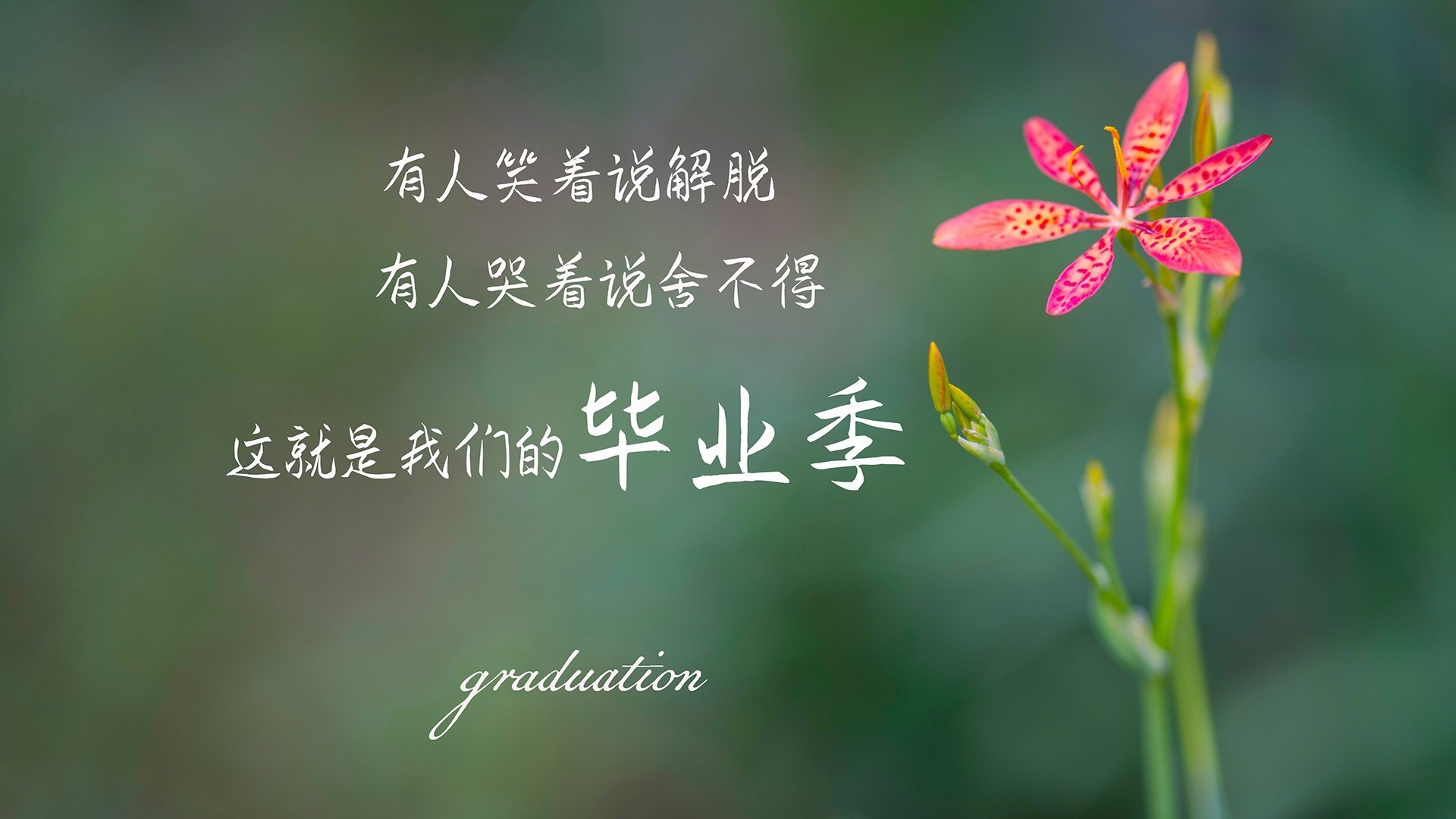 爱游戏官网首页-冬奥集训营队员体能提升显著,北京冬奥会期间综合训练