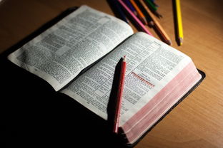 AYX官网-体育教师能力认证制度在试点城市启动，体育教师资格证认定条件