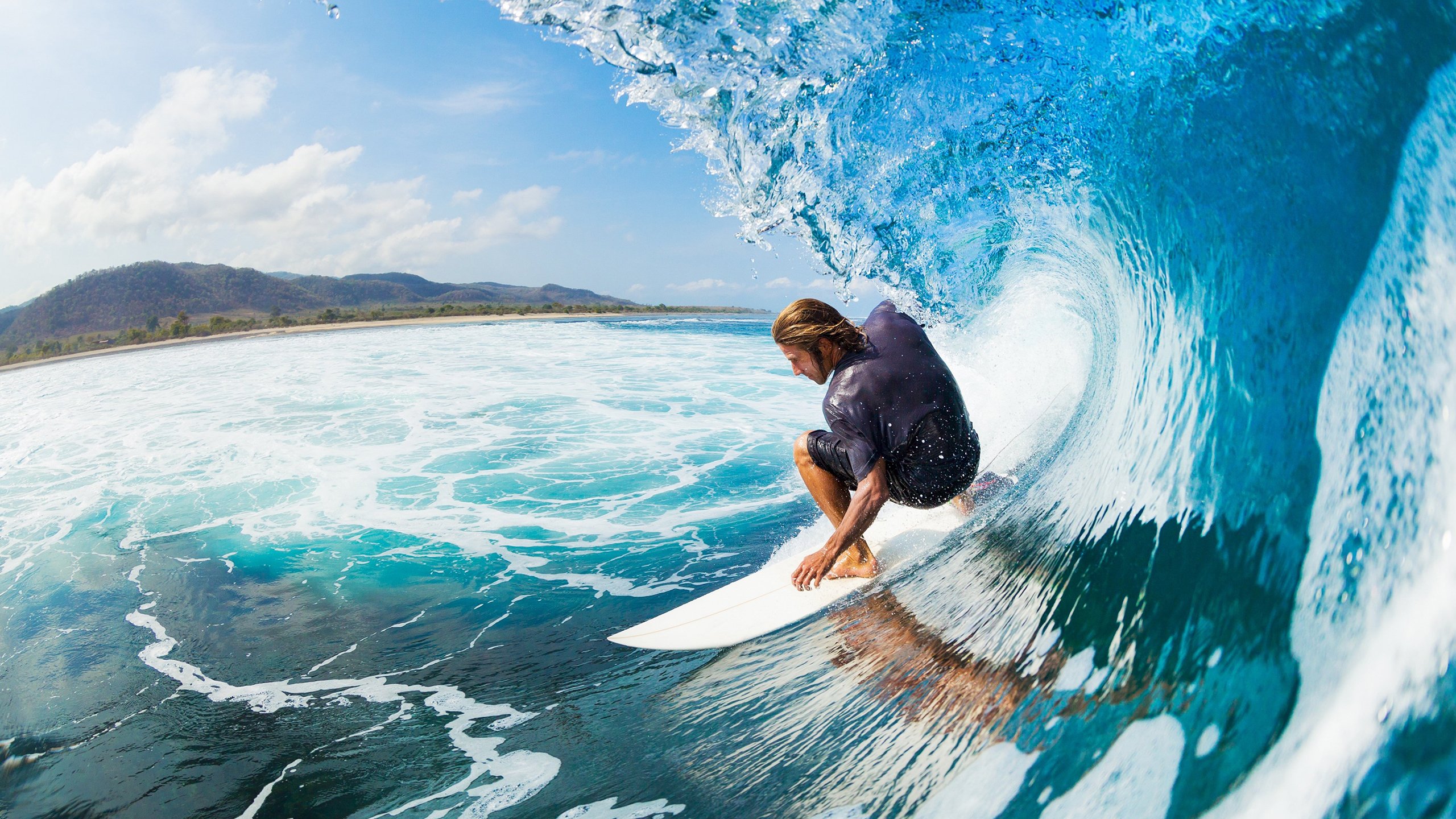 世界马术盛装舞步锦标赛 荷兰组合凭借高难度自由舞拿下金牌